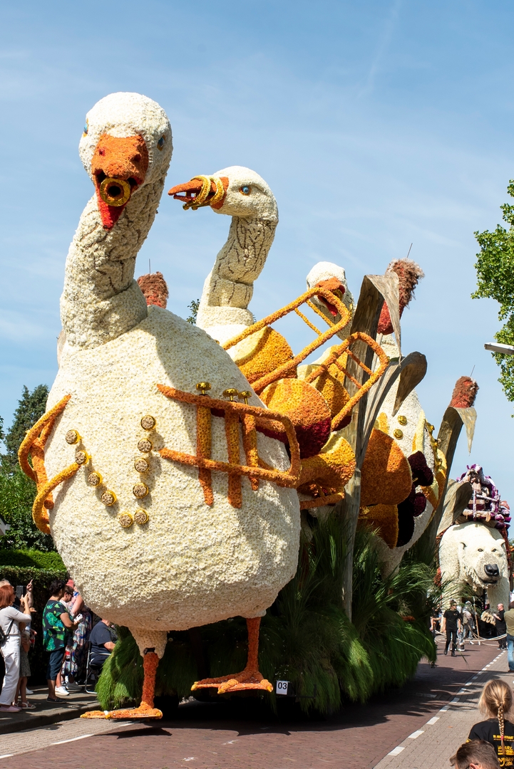 De Ganzenpas, Foto Luzanne Foesenek