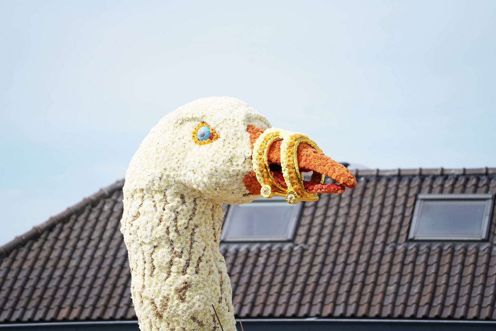 De Ganzenpas, Foto Sander Vlug