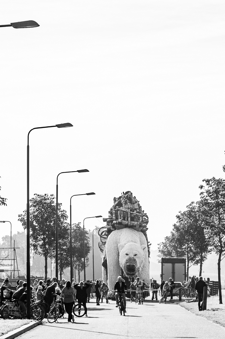 Nanook, Foto José van Trijp fotografie