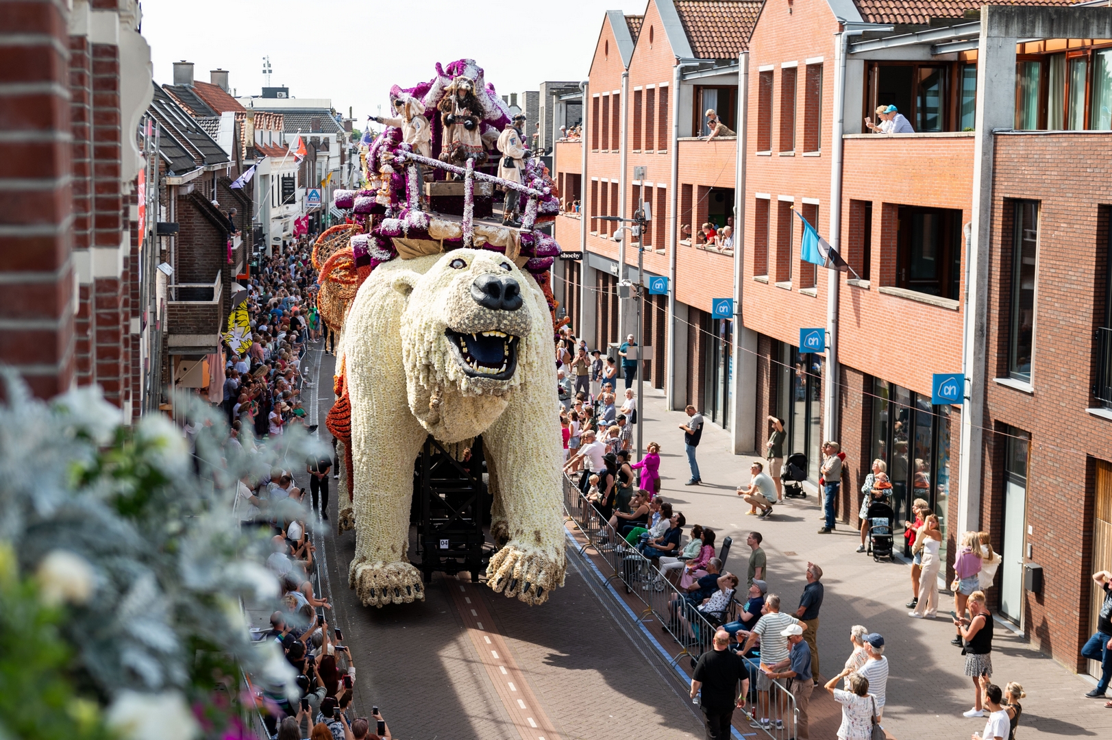 Nanook, Foto José van Trijp fotografie