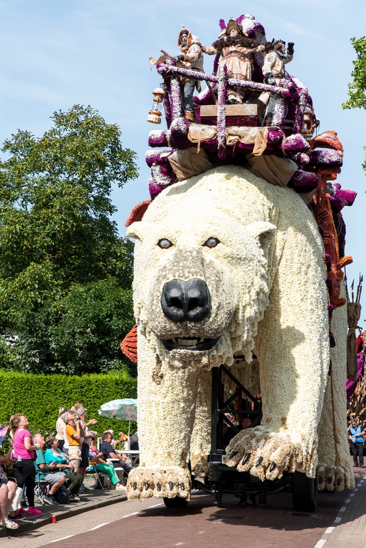 Nanook, Foto Luzanne Foesenek