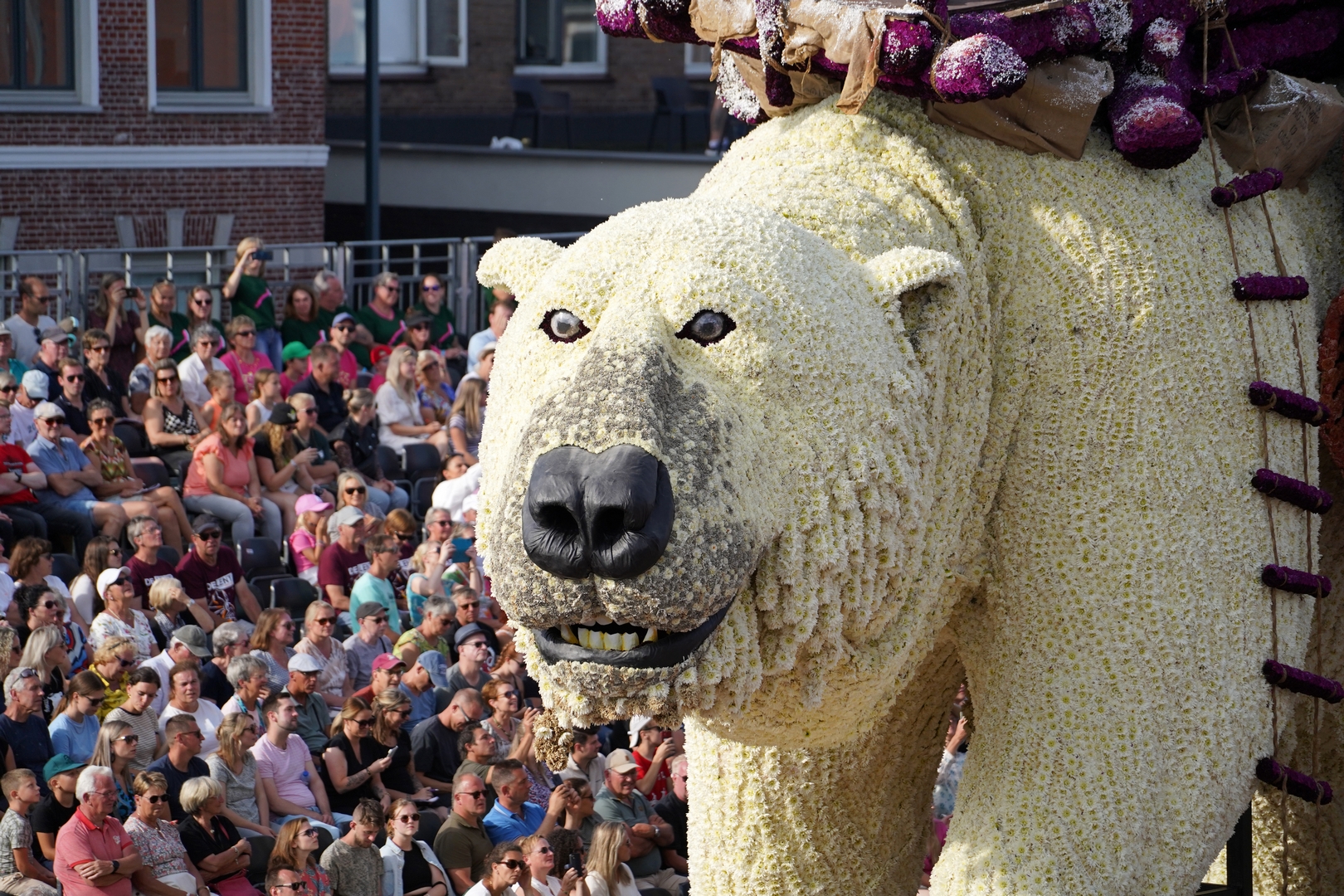 Nanook, Foto Sander Vlug