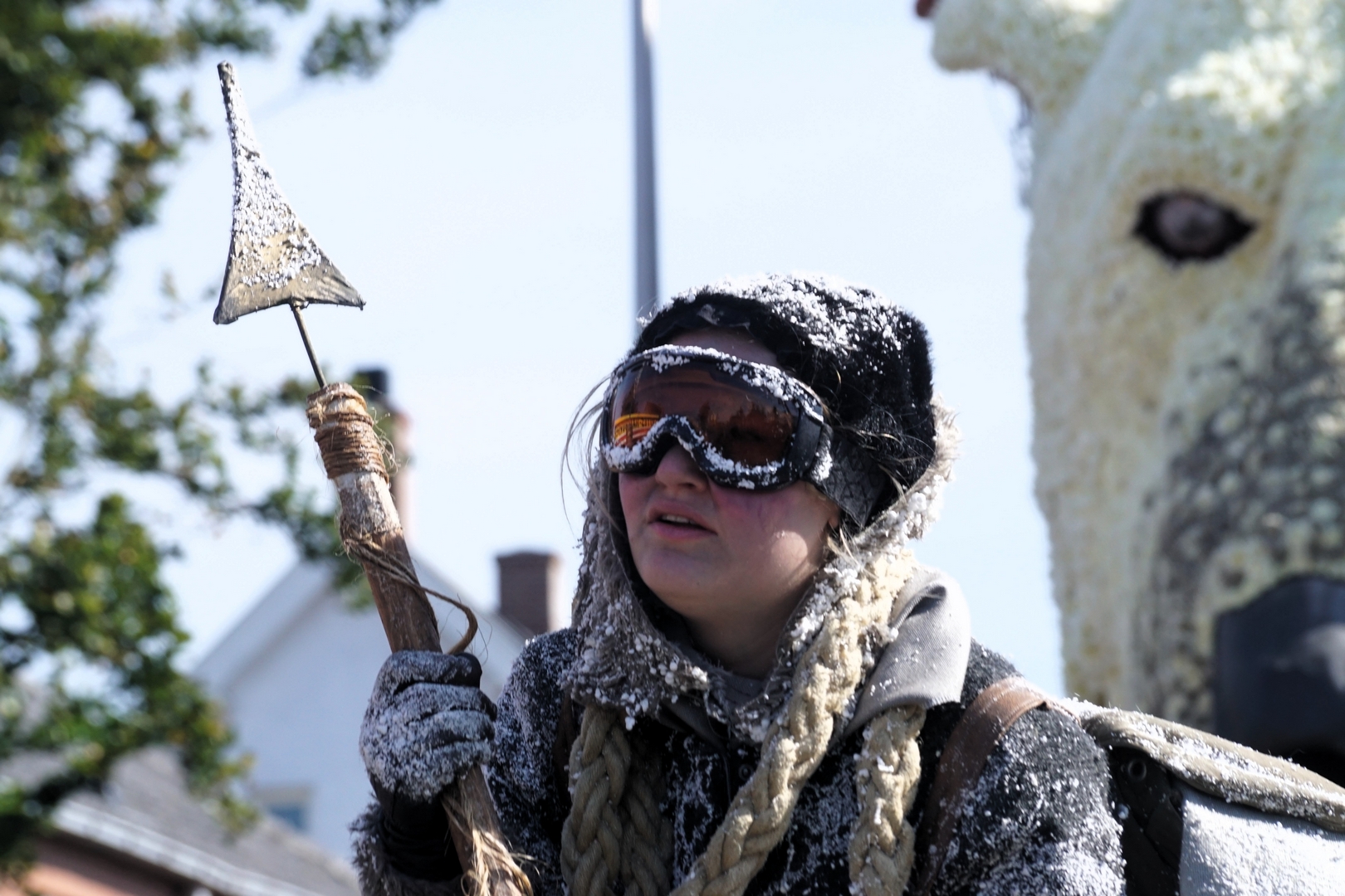 Nanook, Foto Ad van den Kieboom