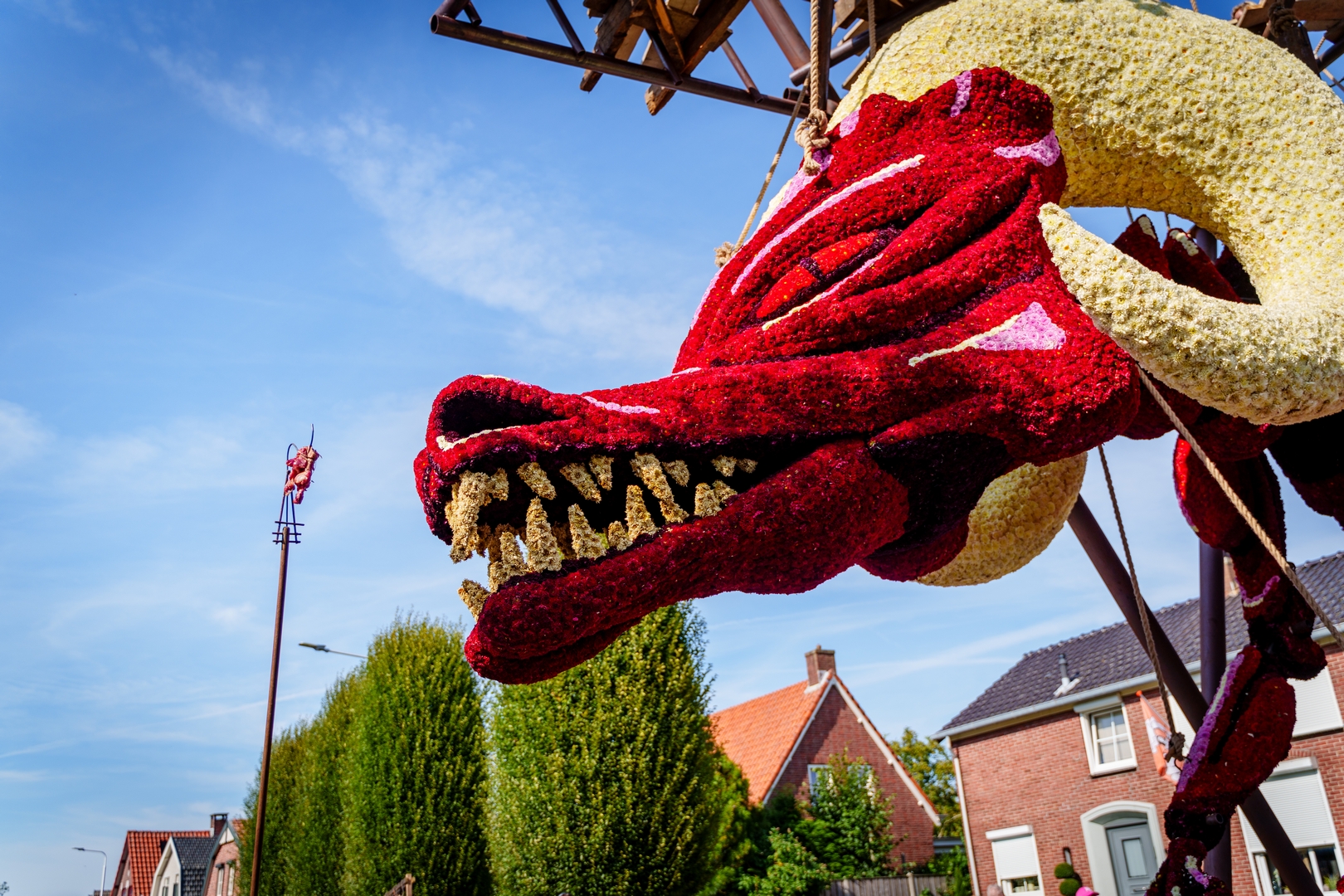 The Jersey Devil, Foto Eefje fotografie