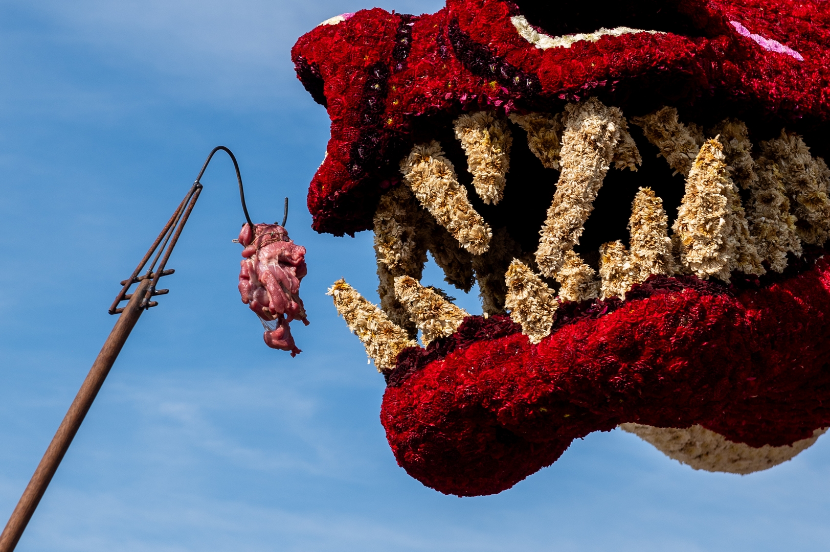 The Jersey Devil, Foto José van Trijp fotografie