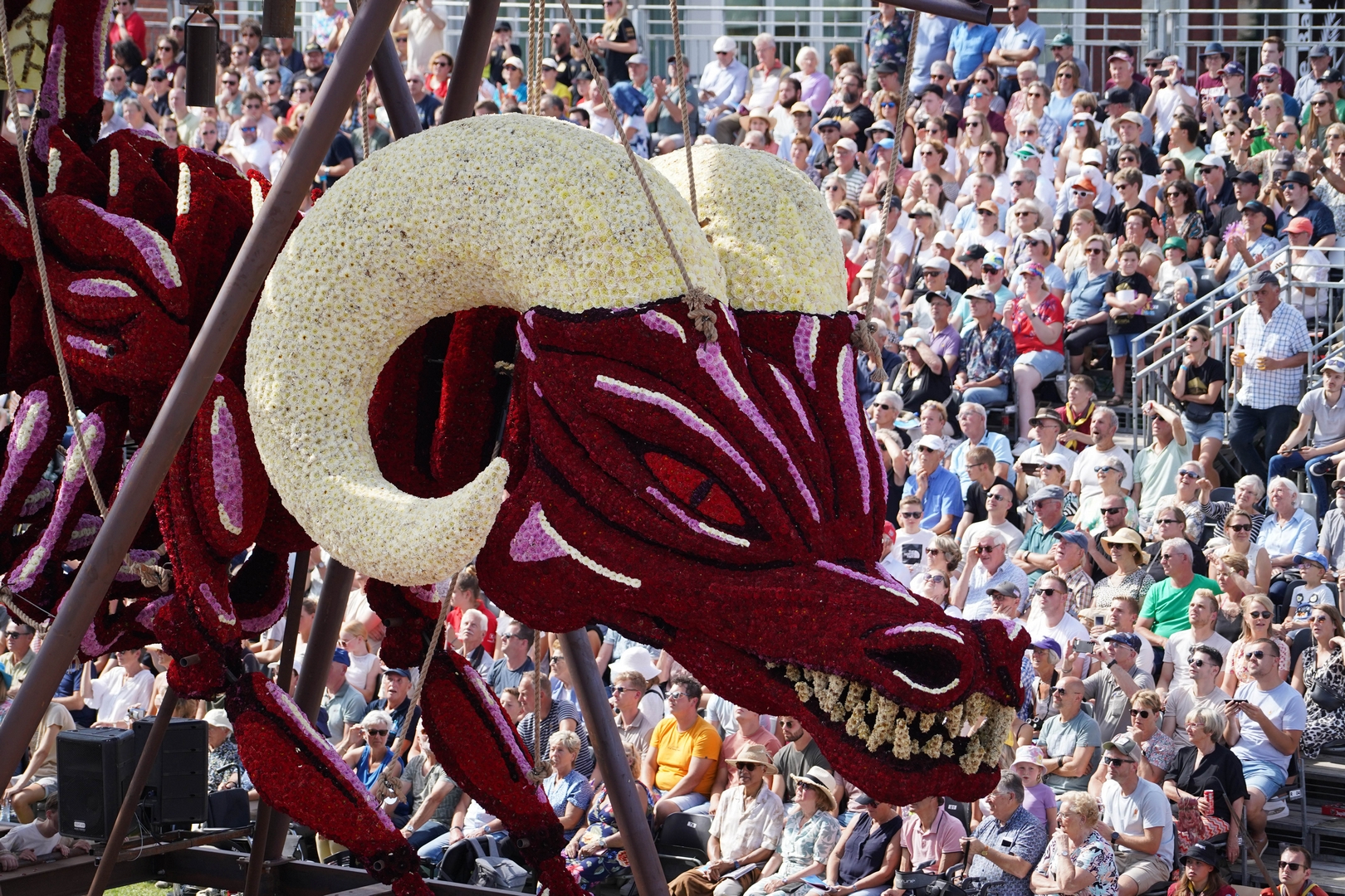The Jersey Devil, Foto Sander Vlug
