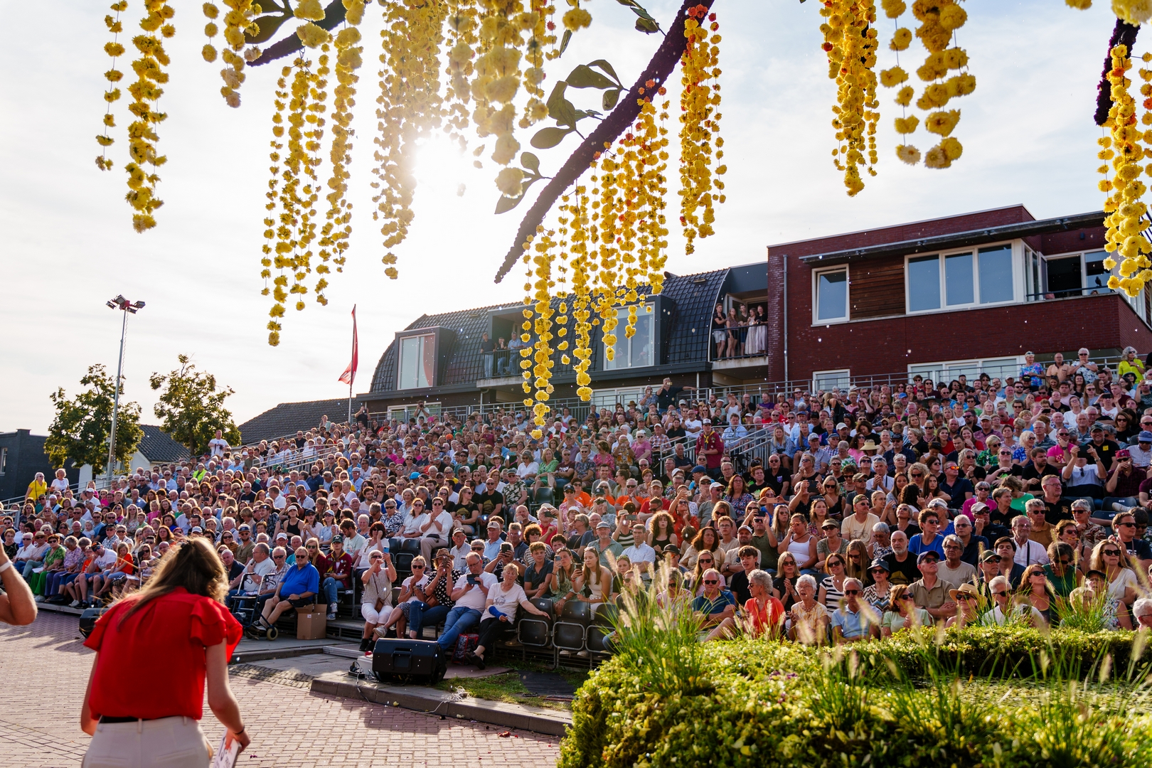 Gouden Regen, Foto Eefje fotografie
