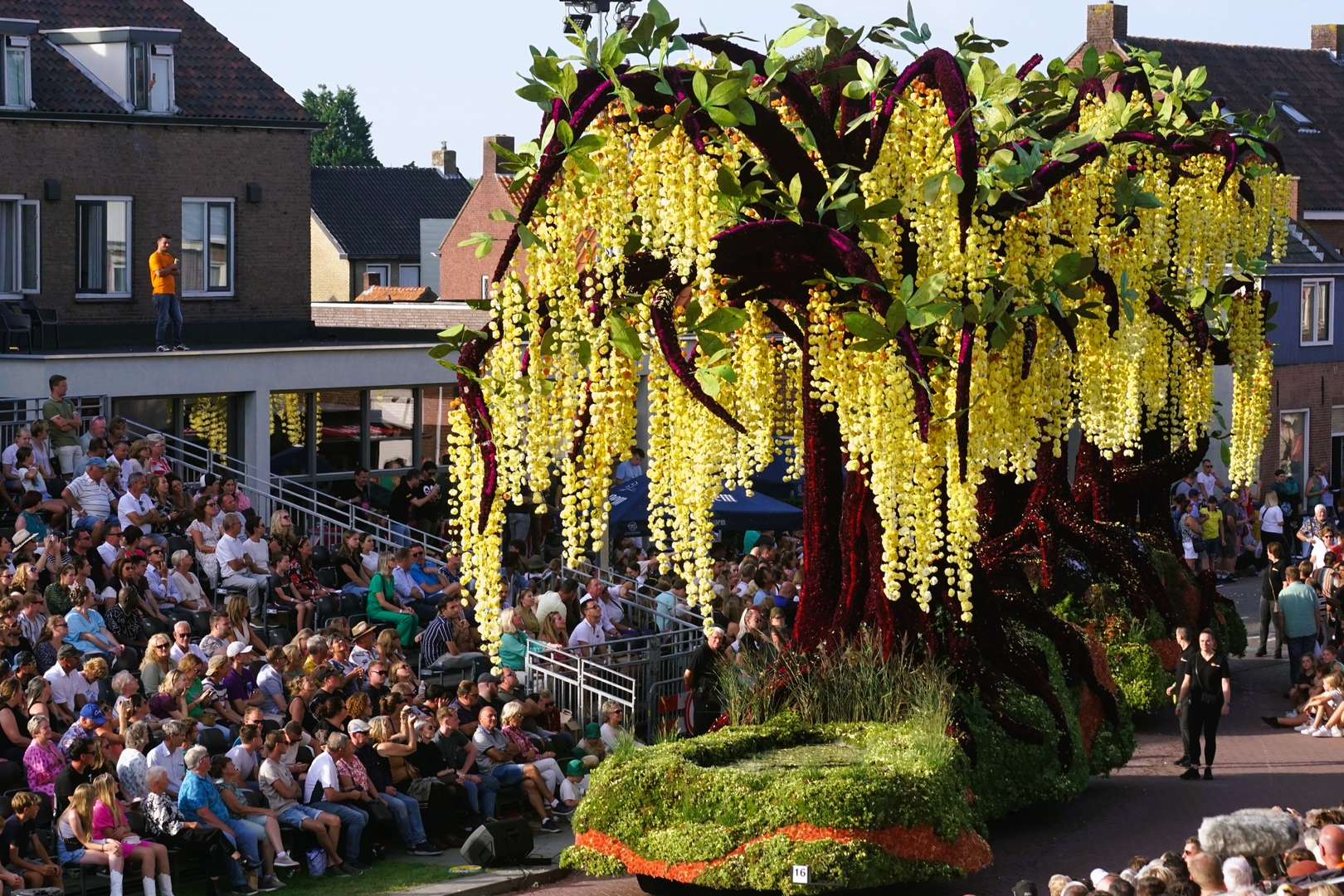 Gouden Regen, Foto Ad van den Kieboom