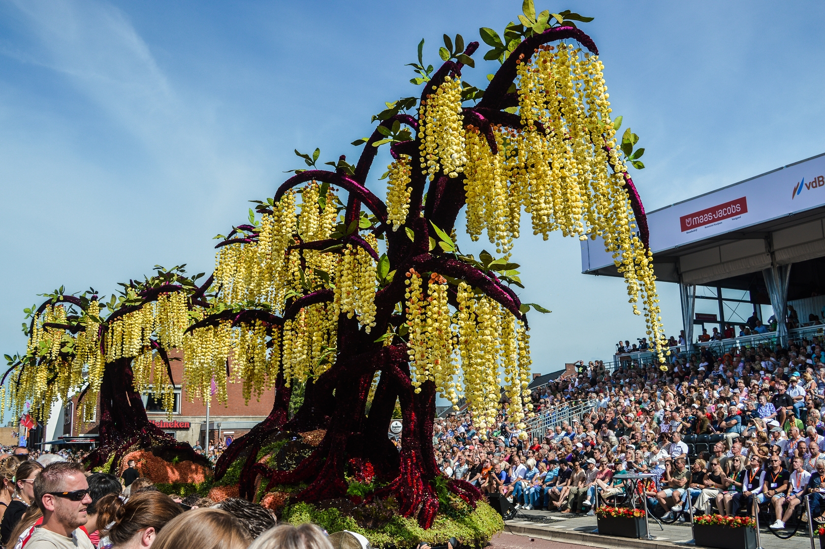 Gouden Regen, Foto Joeri Sannen