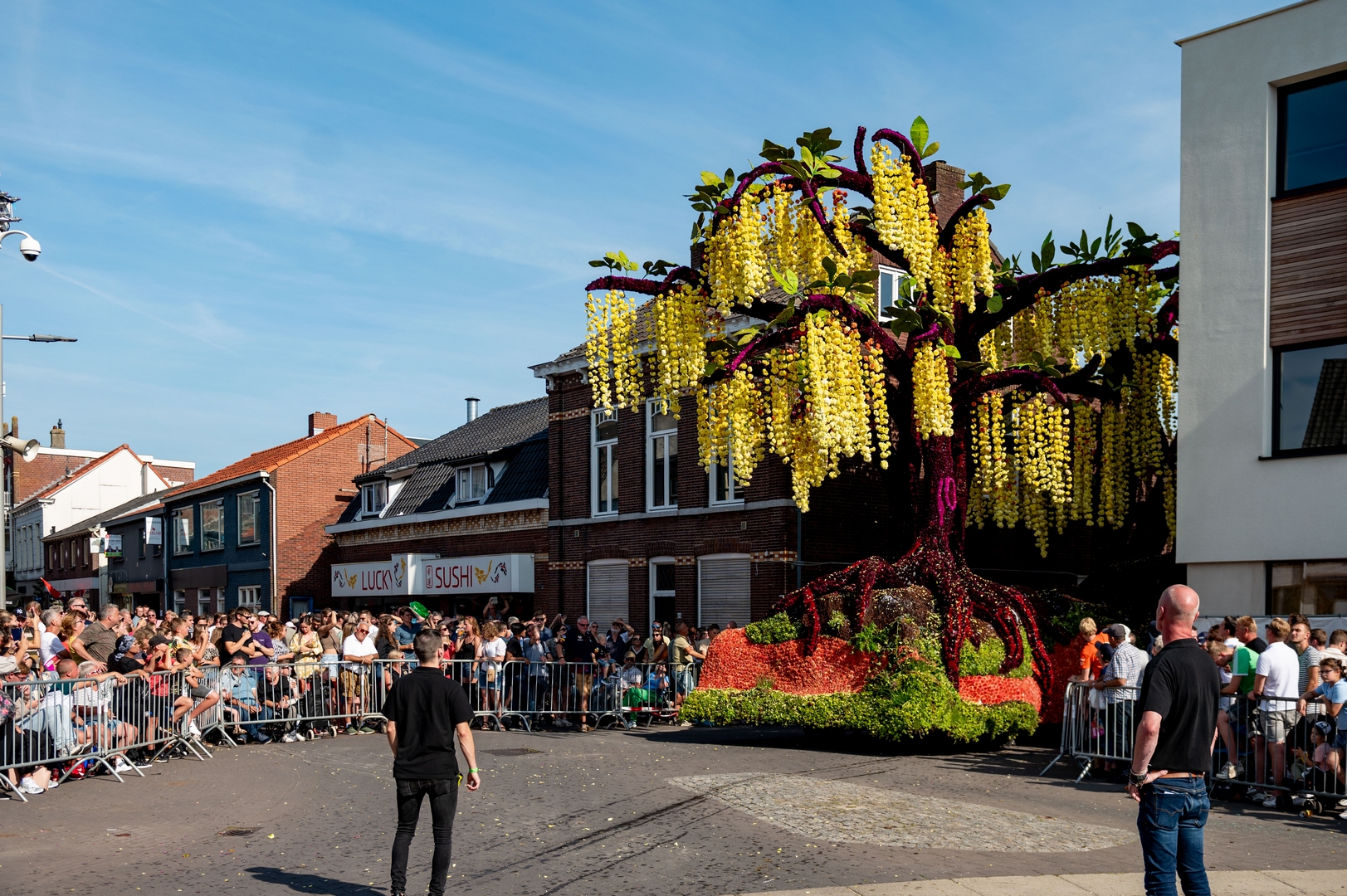 Gouden Regen, Foto José van Trijp fotografie
