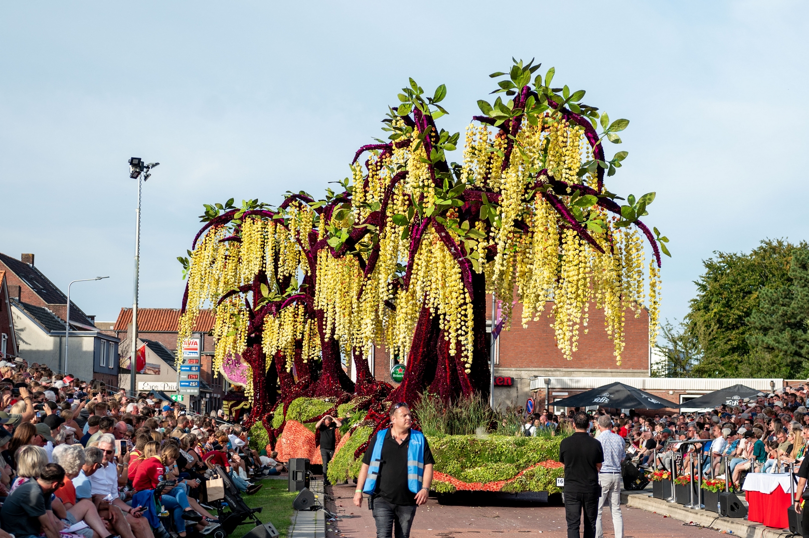 Gouden Regen, Foto José van Trijp fotografie