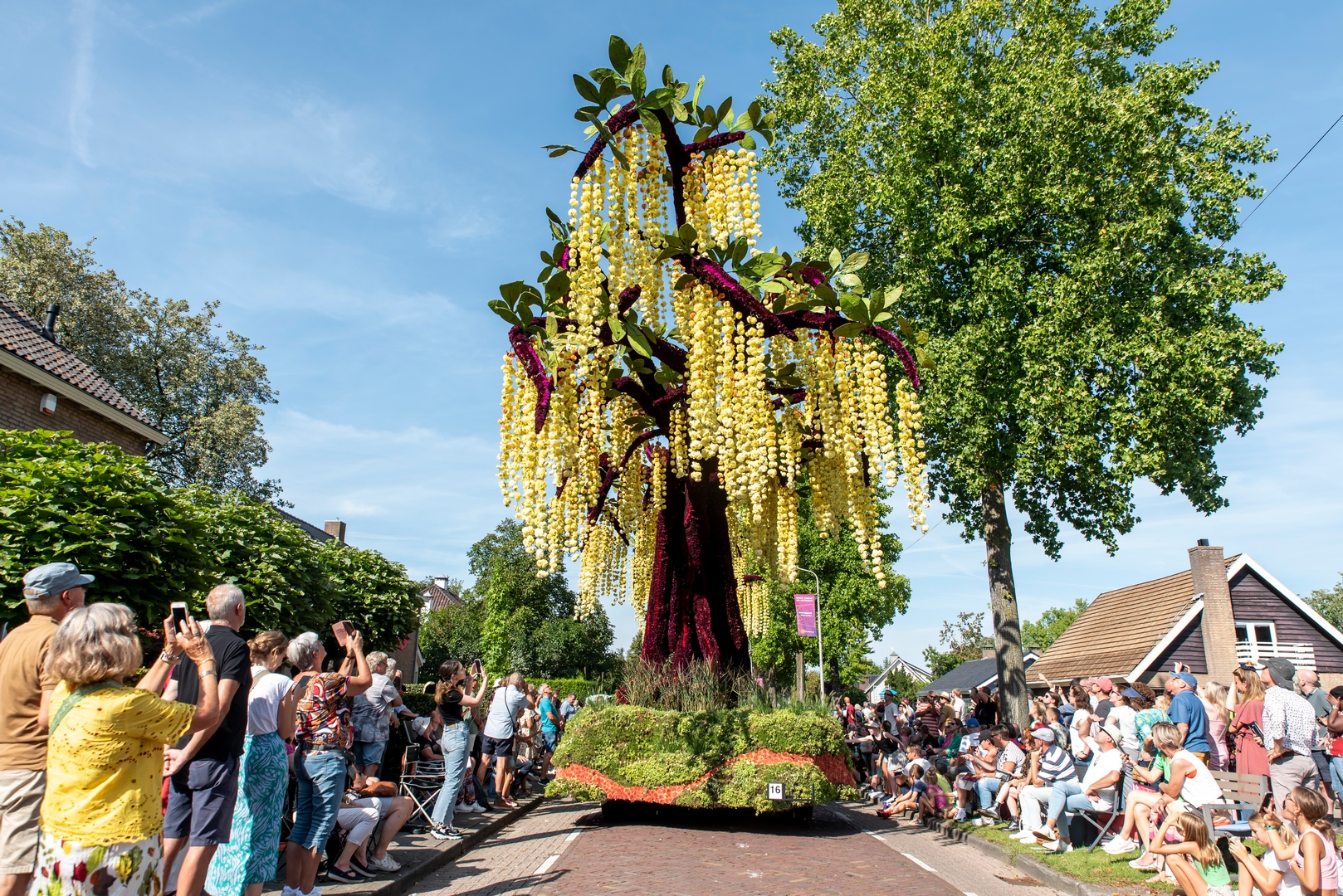 Gouden Regen, Foto Luzanne Foesenek