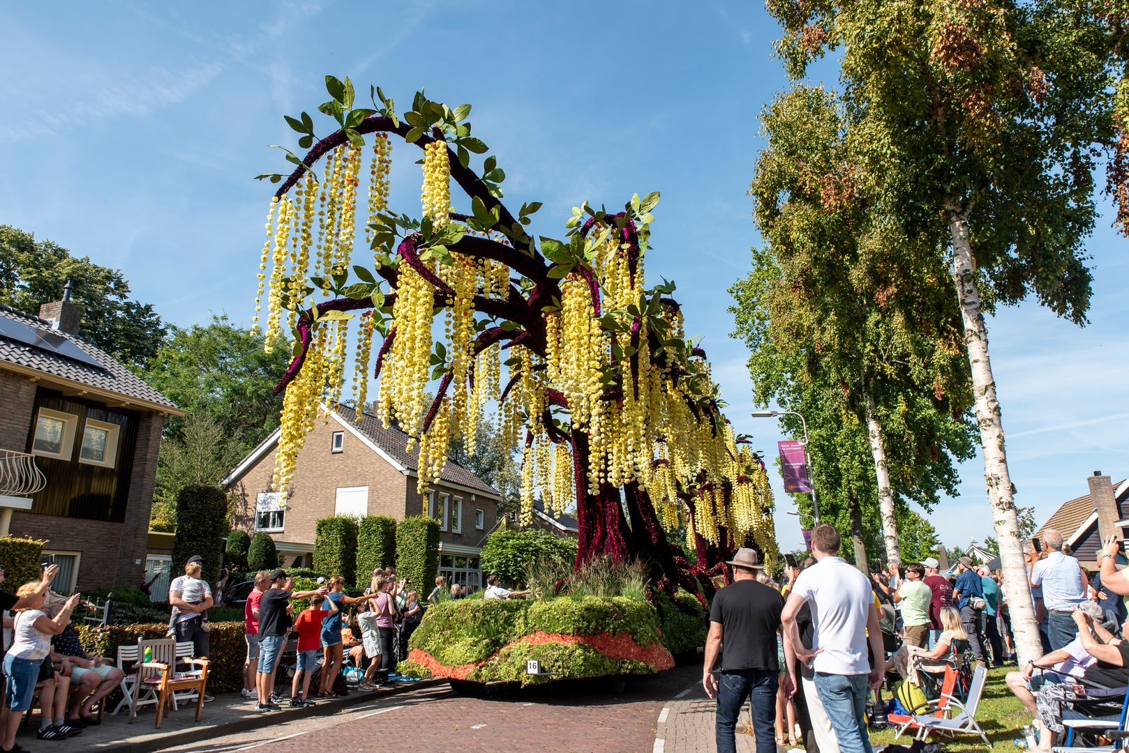 Gouden Regen, Foto Luzanne Foesenek