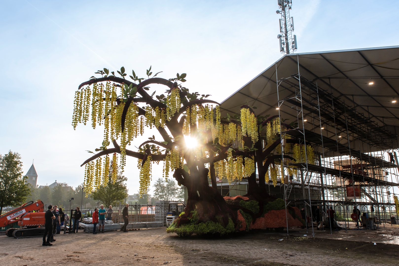 Gouden Regen, Foto Luzanne Foesenek