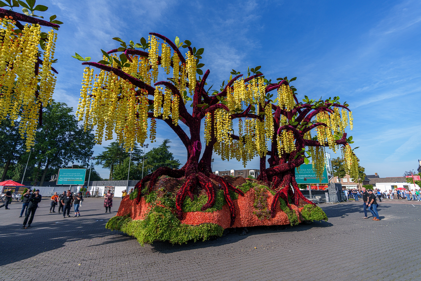 Gouden Regen, Foto Paul Ranft