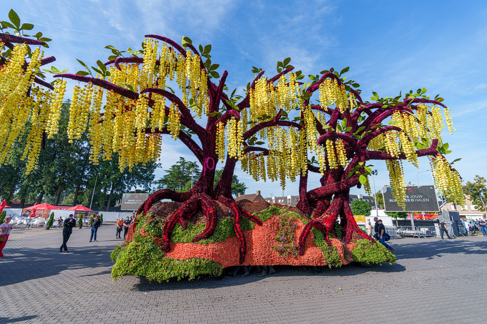 Gouden Regen, Foto Paul Ranft