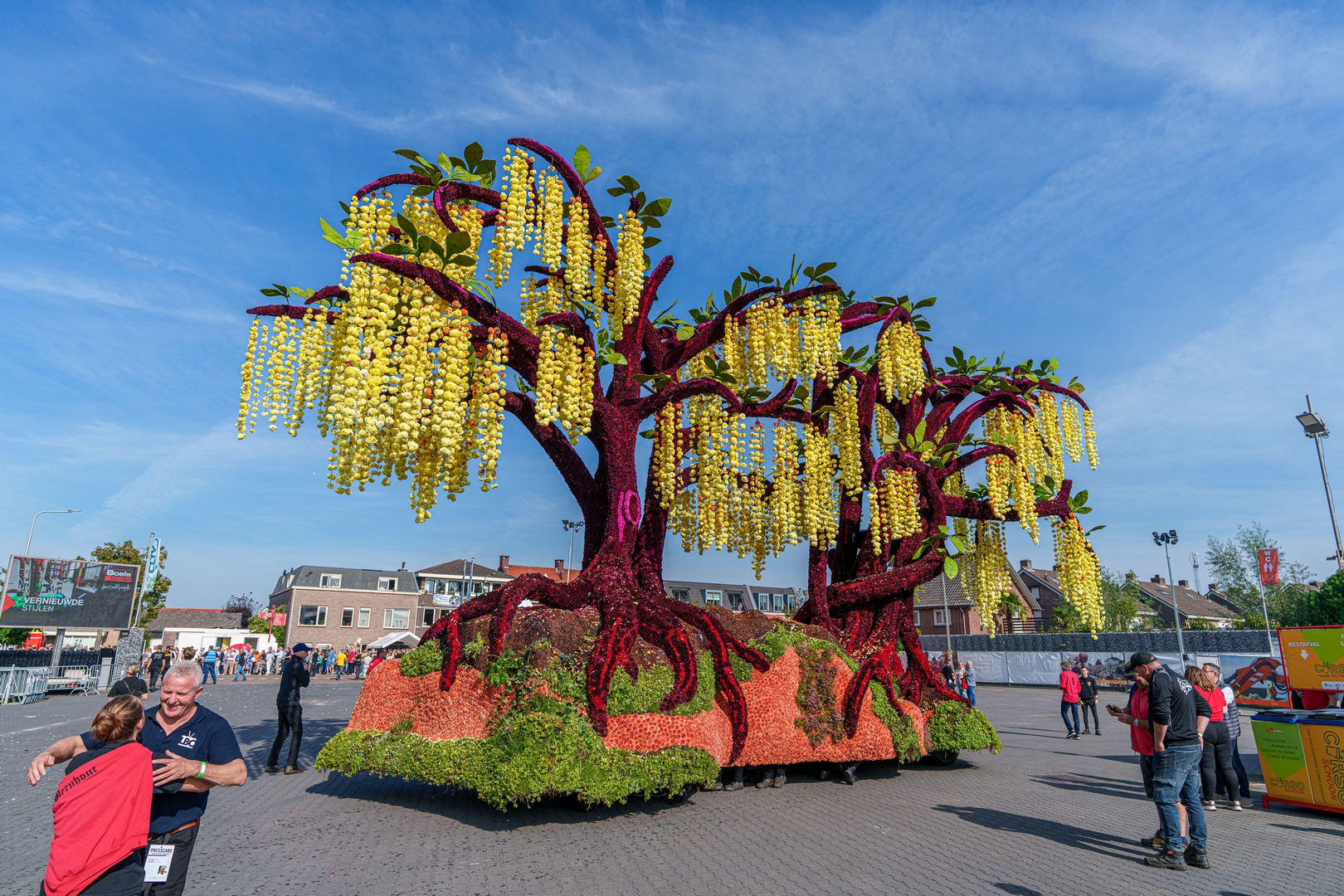 Gouden Regen, Foto Paul Ranft