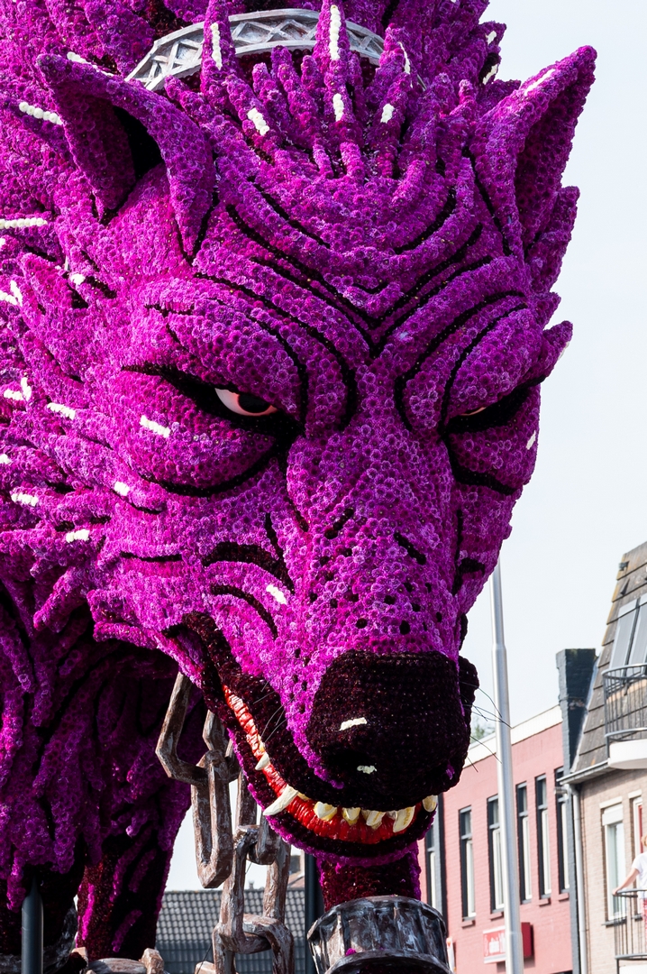 Fenrir, Foto José van Trijp fotografie