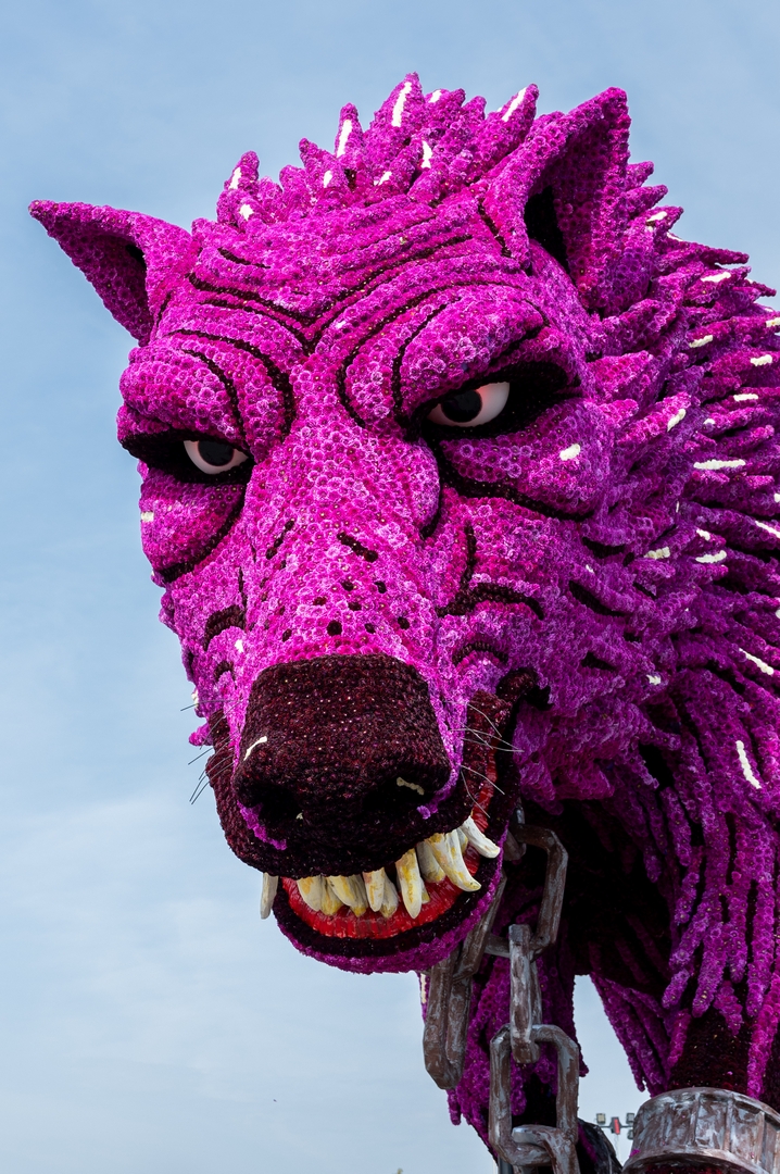 Fenrir, Foto José van Trijp fotografie