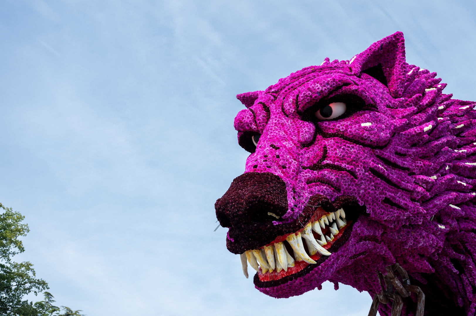 Fenrir, Foto José van Trijp fotografie