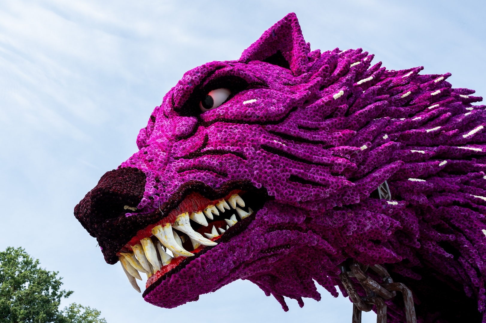 Fenrir, Foto José van Trijp fotografie