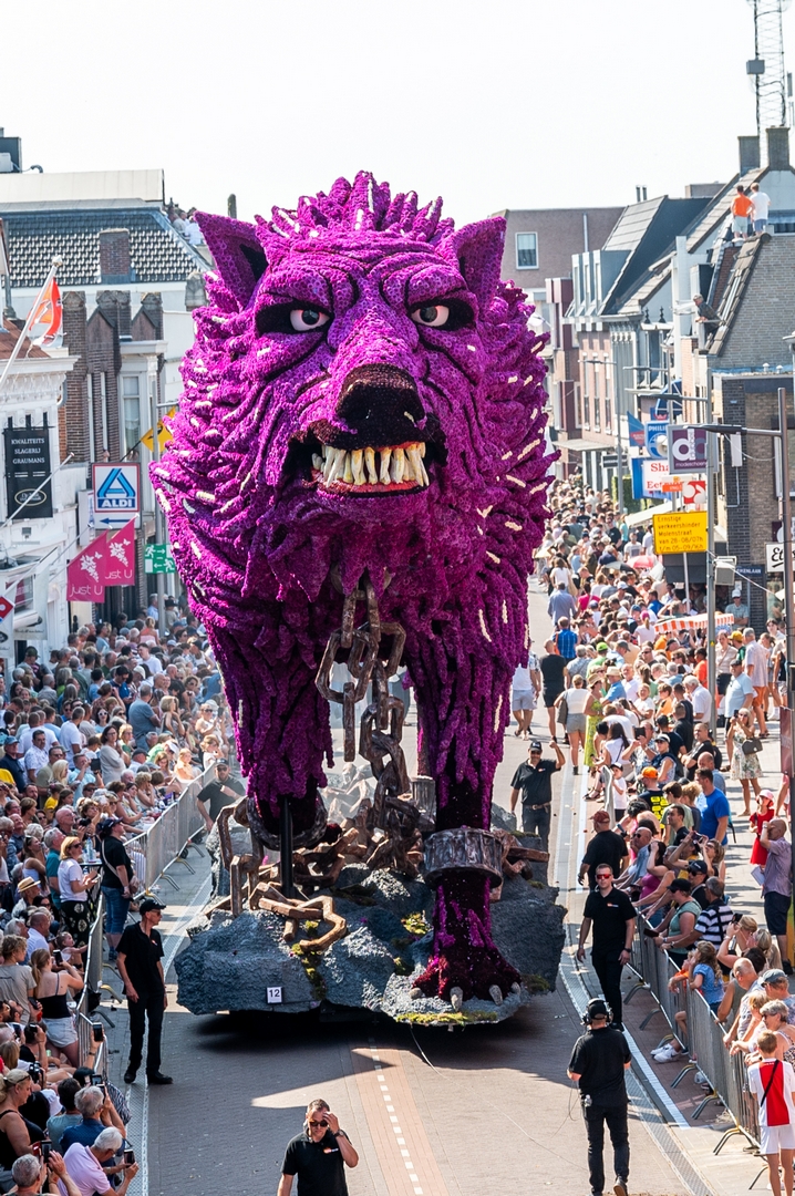 Fenrir, Foto José van Trijp fotografie