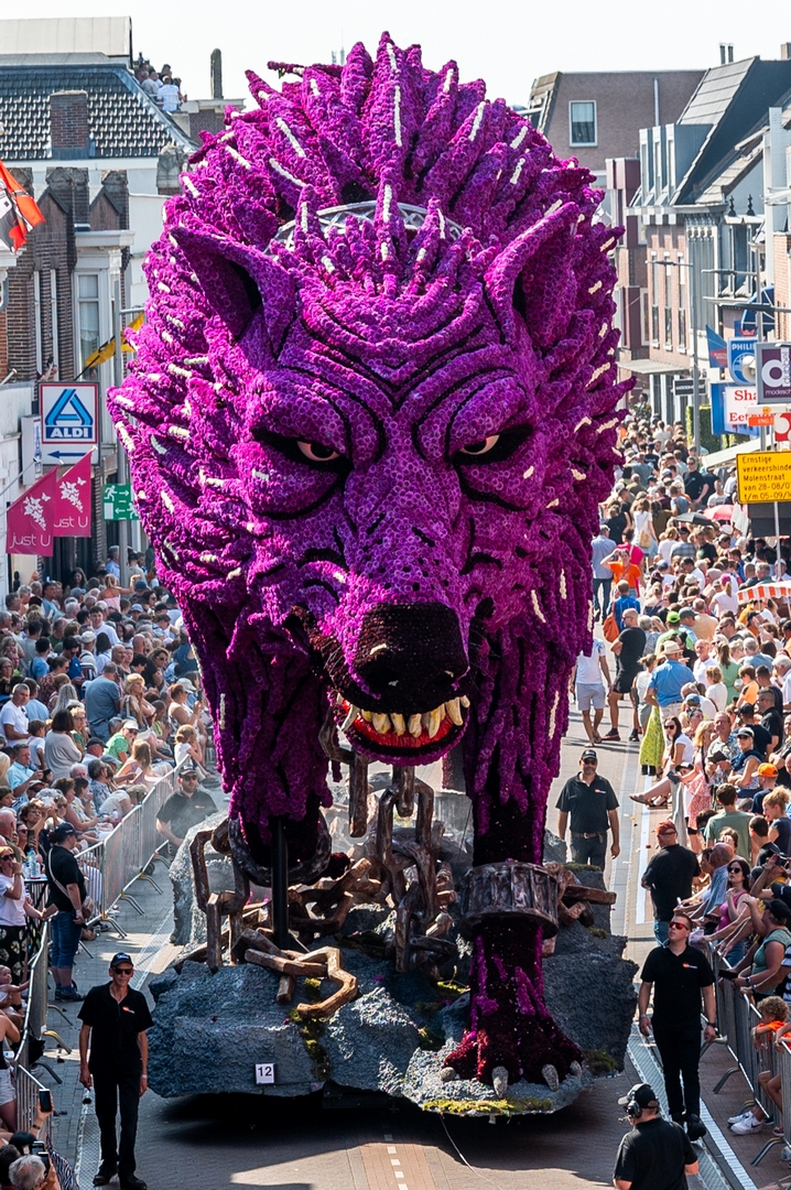 Fenrir, Foto José van Trijp fotografie