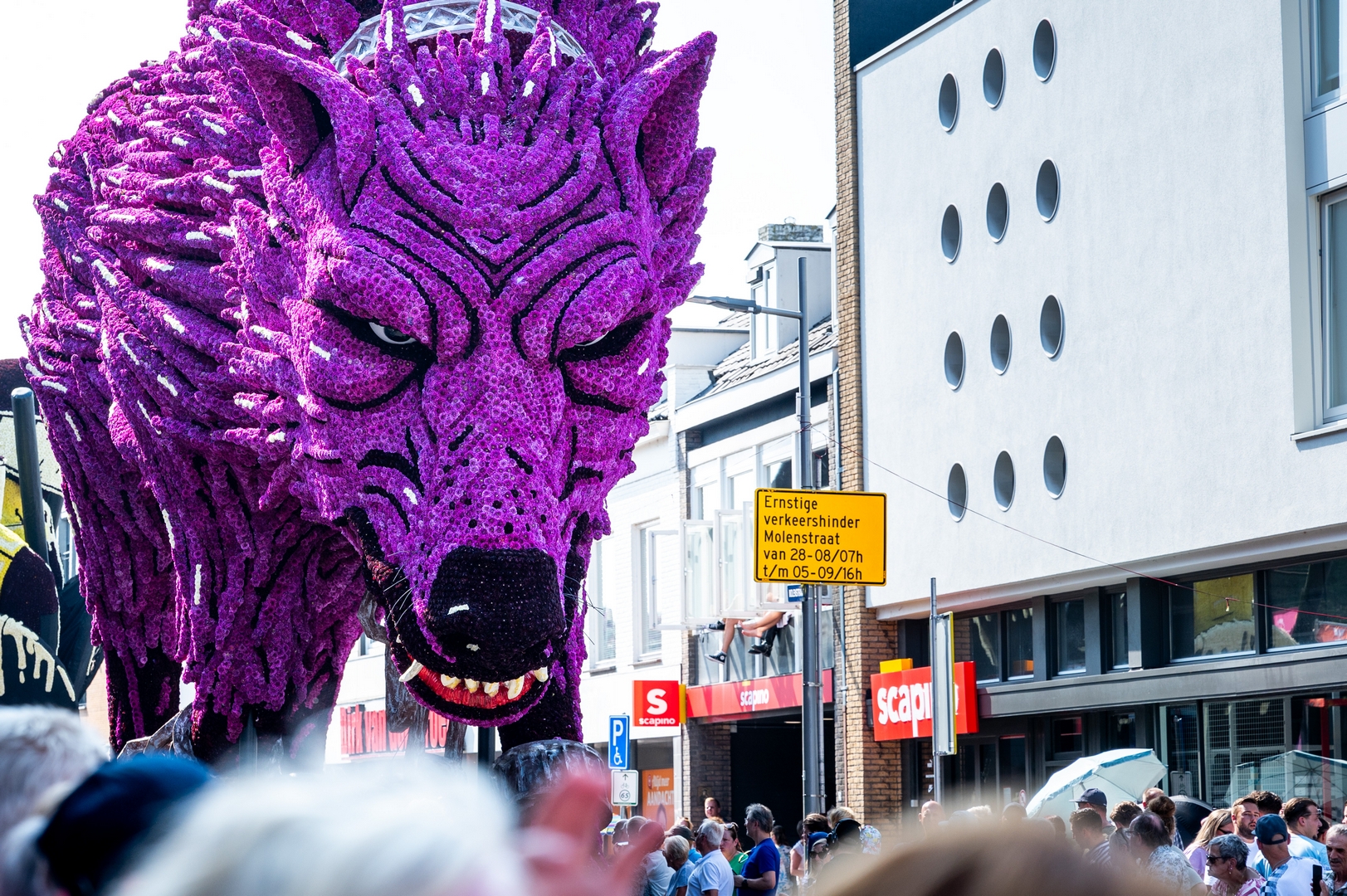 Fenrir, Foto José van Trijp fotografie
