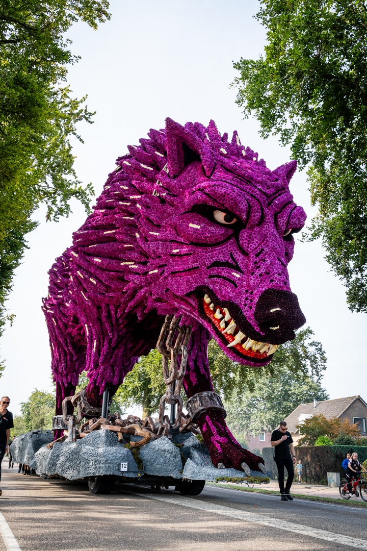 Fenrir, foto Eefje Fotografie