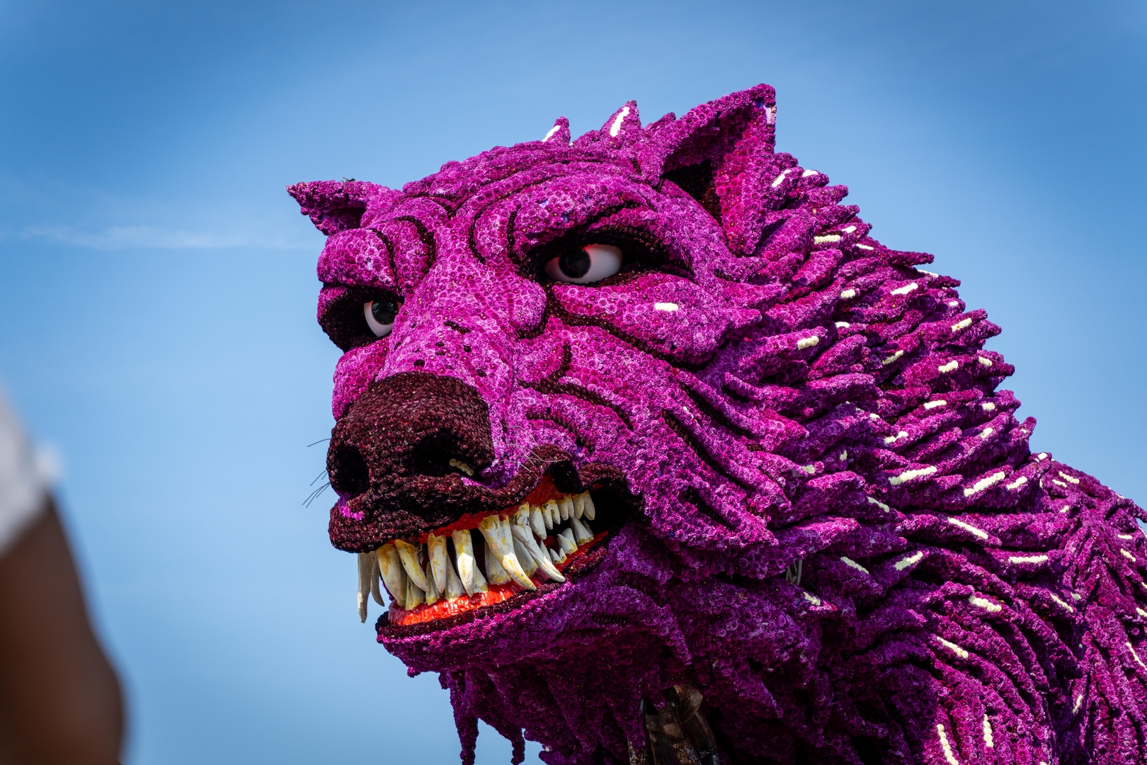 Fenrir, foto Eefje Fotografie
