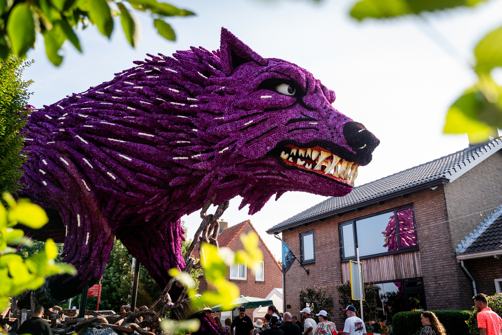 Fenrir, foto Eefje Fotografie
