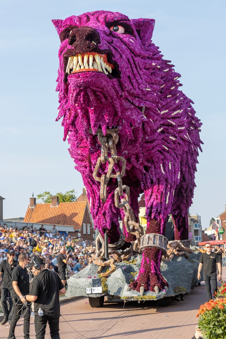 Fenrir, Foto Judith van Aert