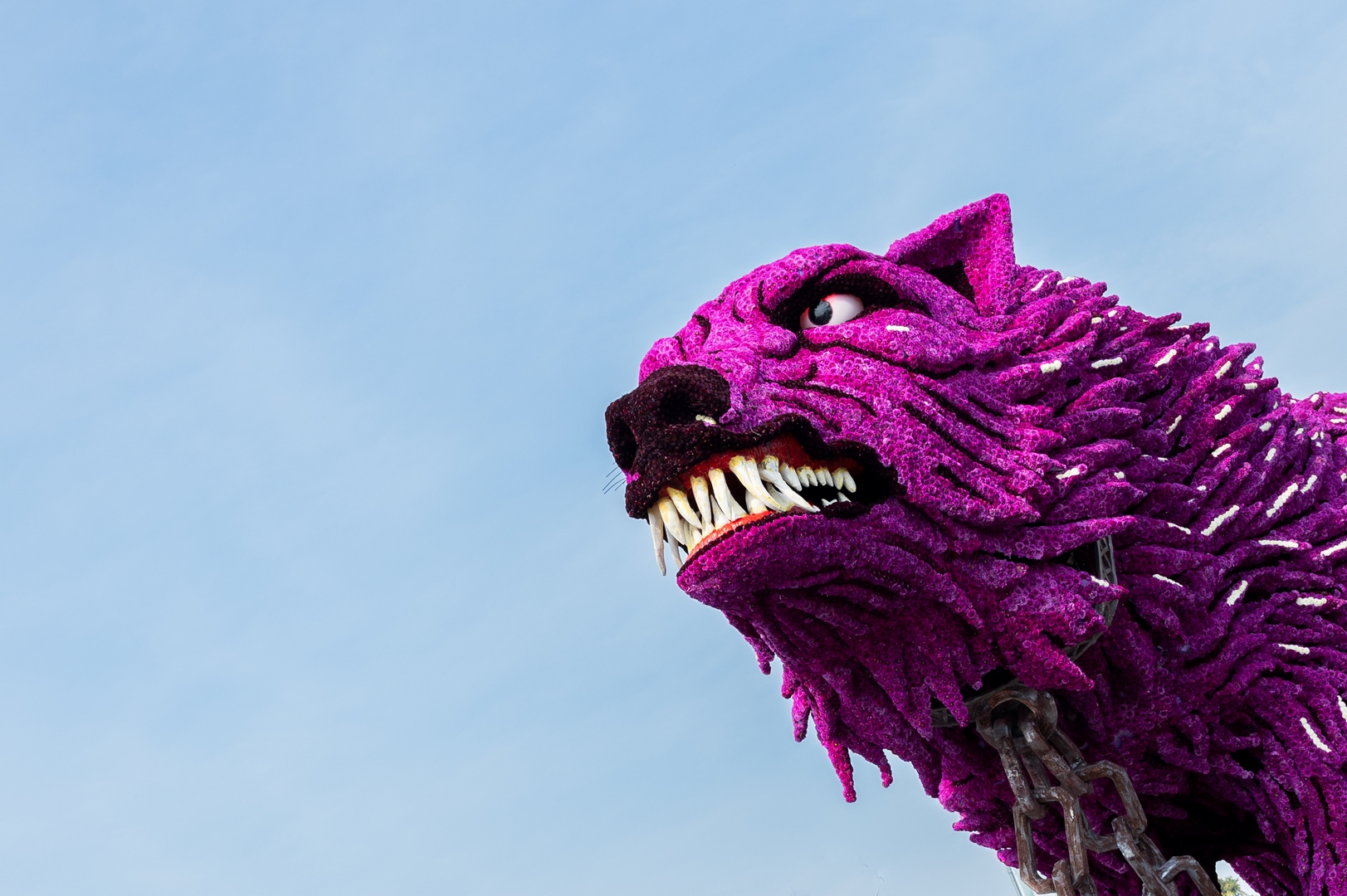 Fenrir, Foto José van Trijp fotografie