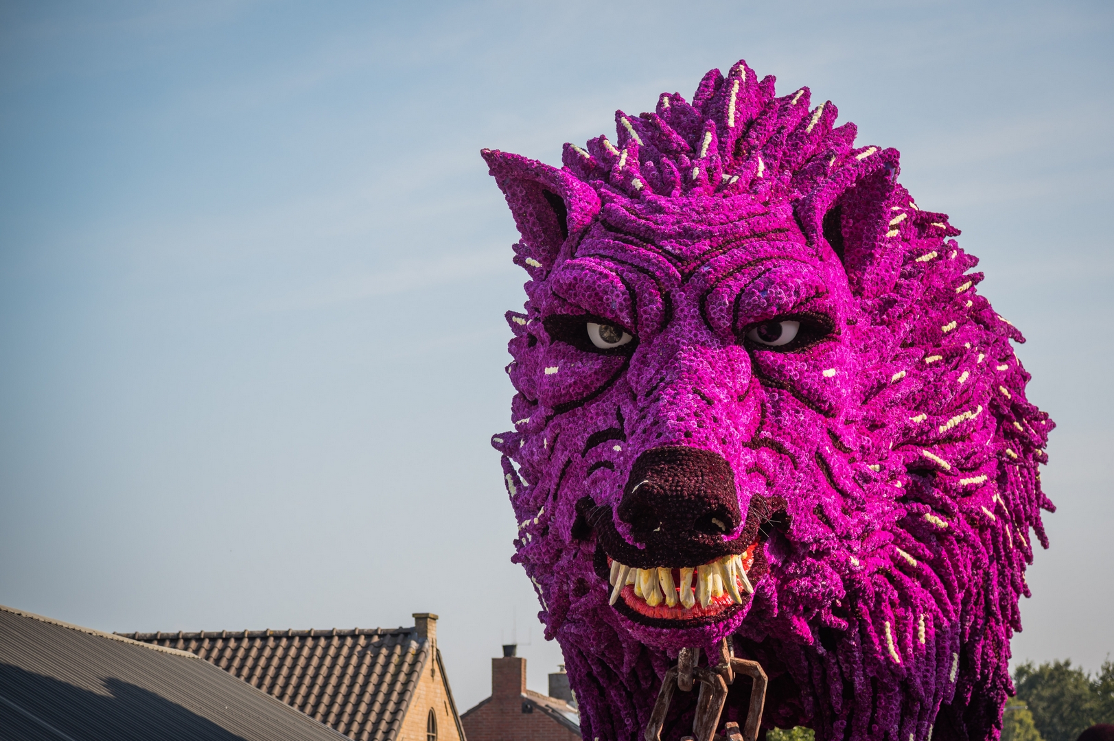 Fenrir, Foto Charles van Campenhout