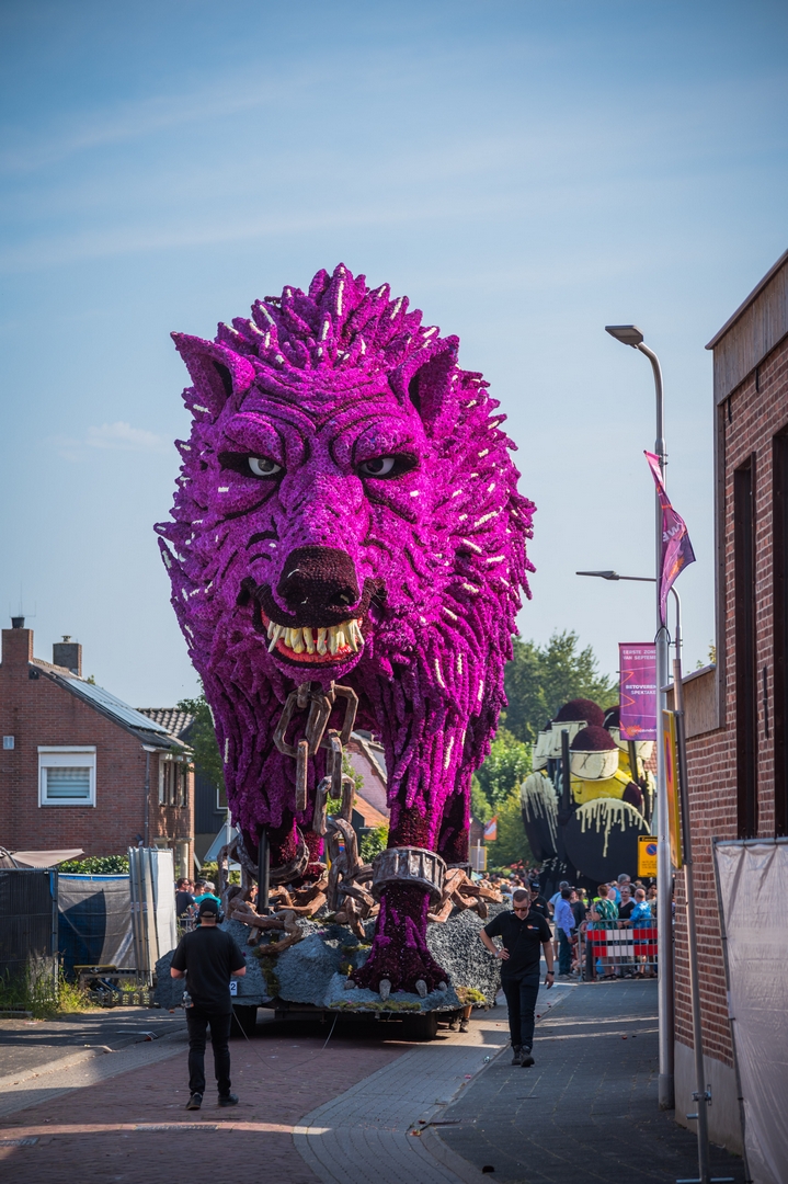 Fenrir, Foto Charles van Campenhout