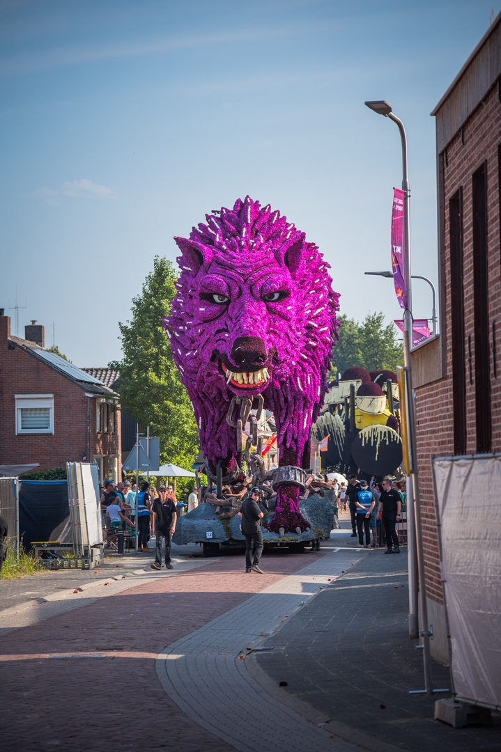 Fenrir, Foto Charles van Campenhout