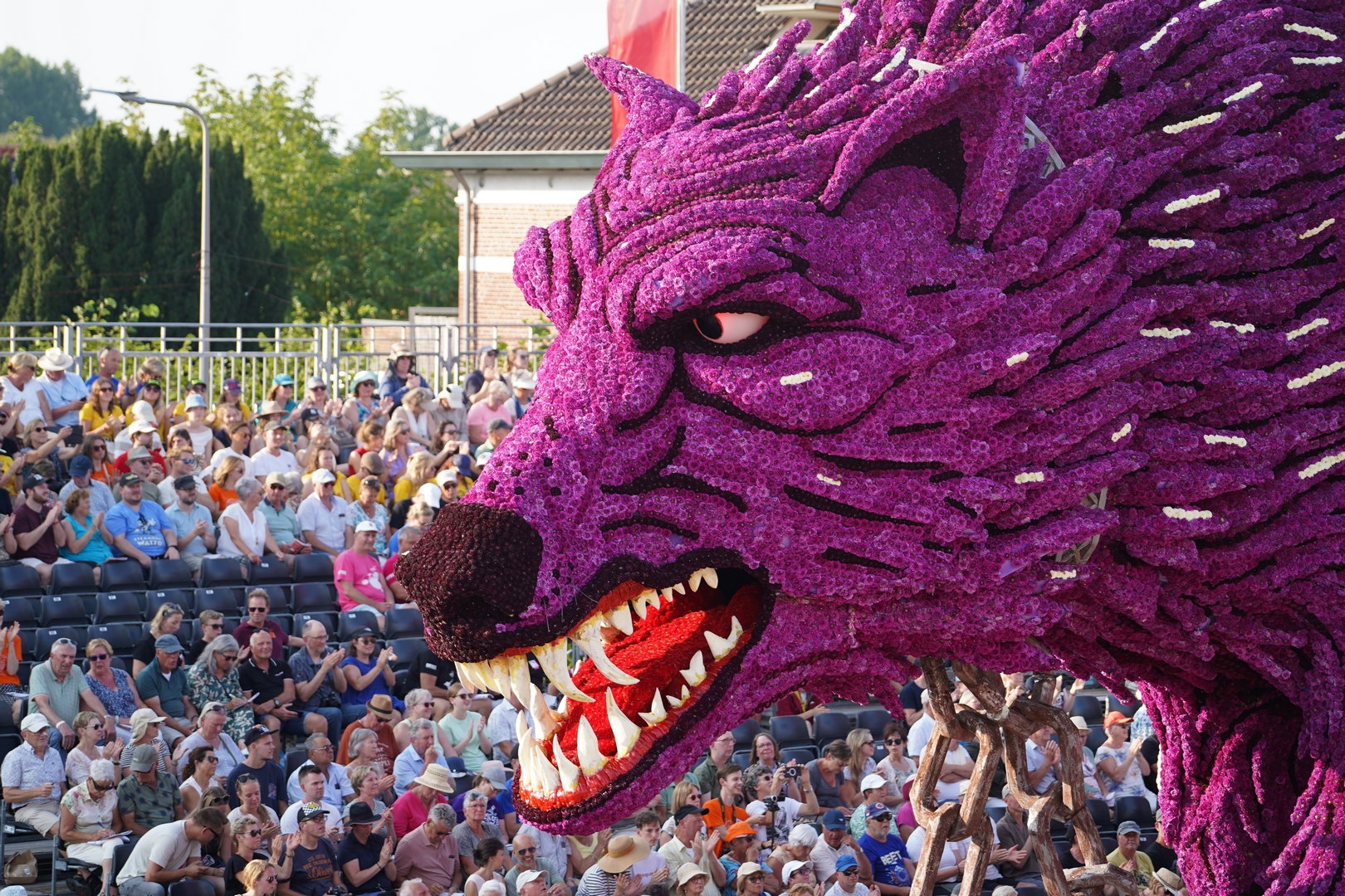 Fenrir, Foto Sander Vlug