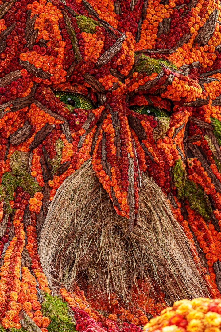 De Natuur Ontwaakt, Foto Paul Ranft