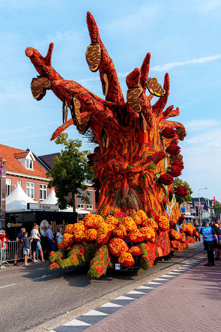 De Natuur Ontwaakt, Foto Paul Ranft
