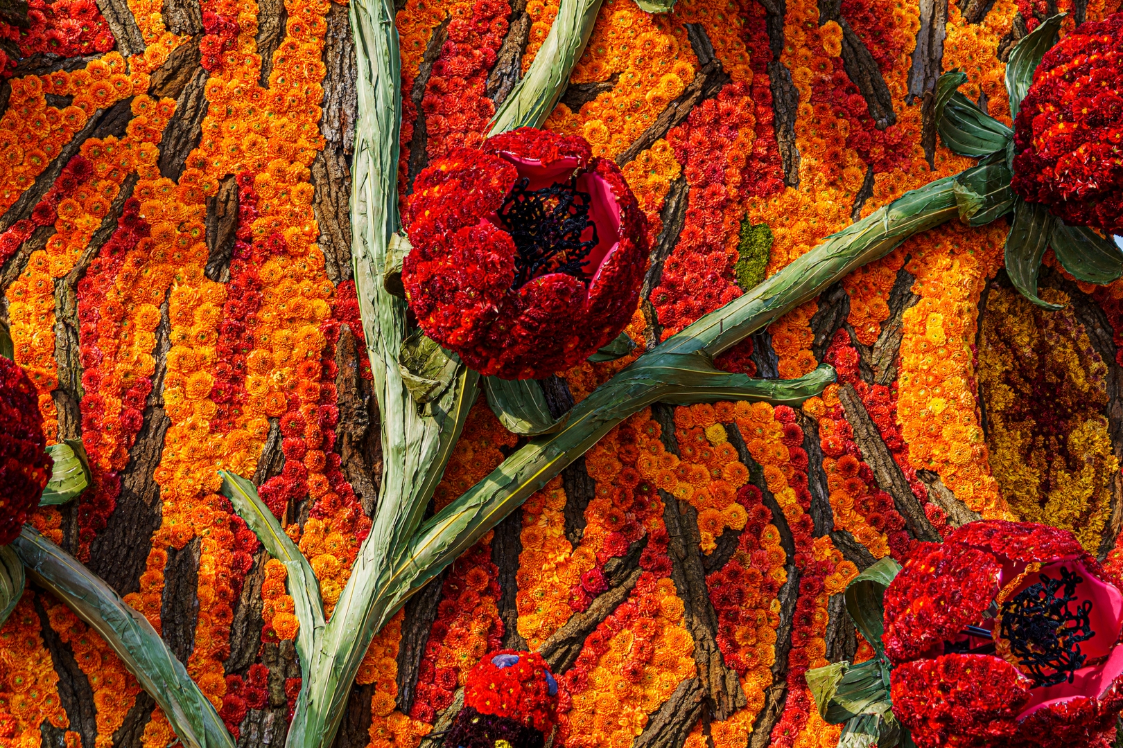 De Natuur Ontwaakt, Foto Paul Ranft
