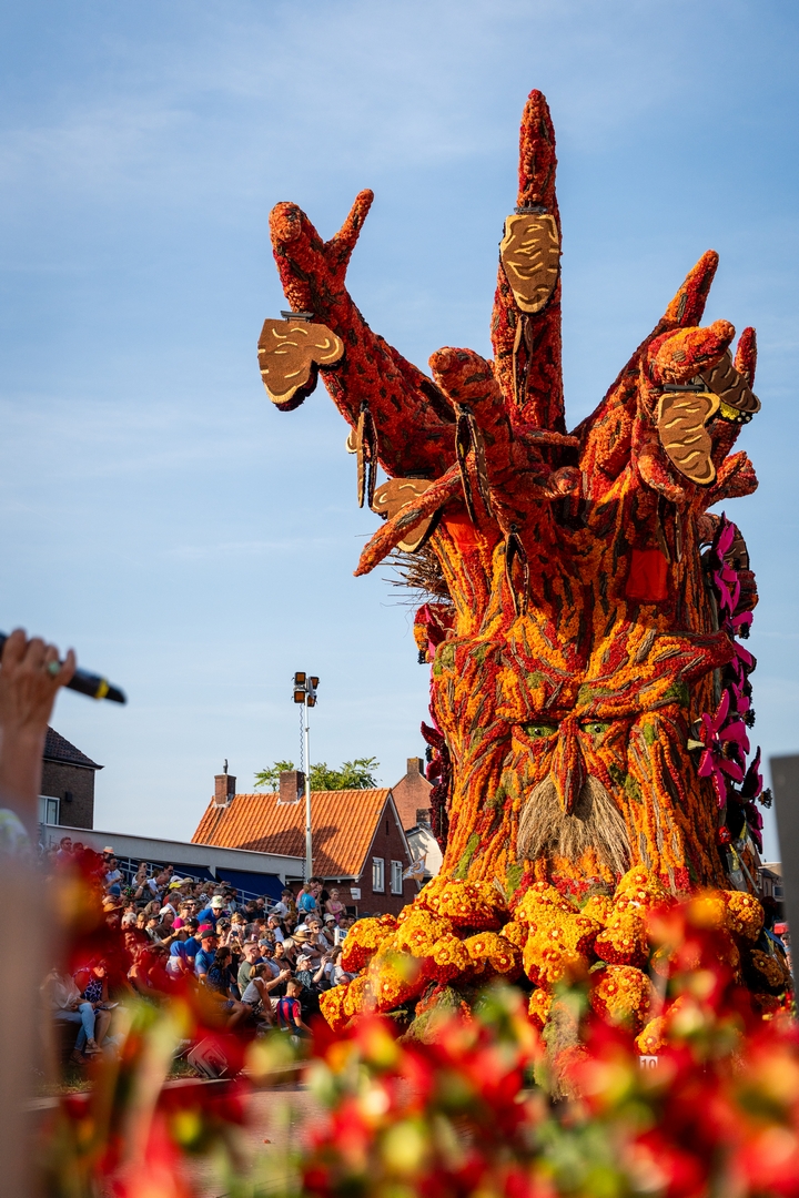 De Natuur Ontwaakt, Foto Eefje fotografie