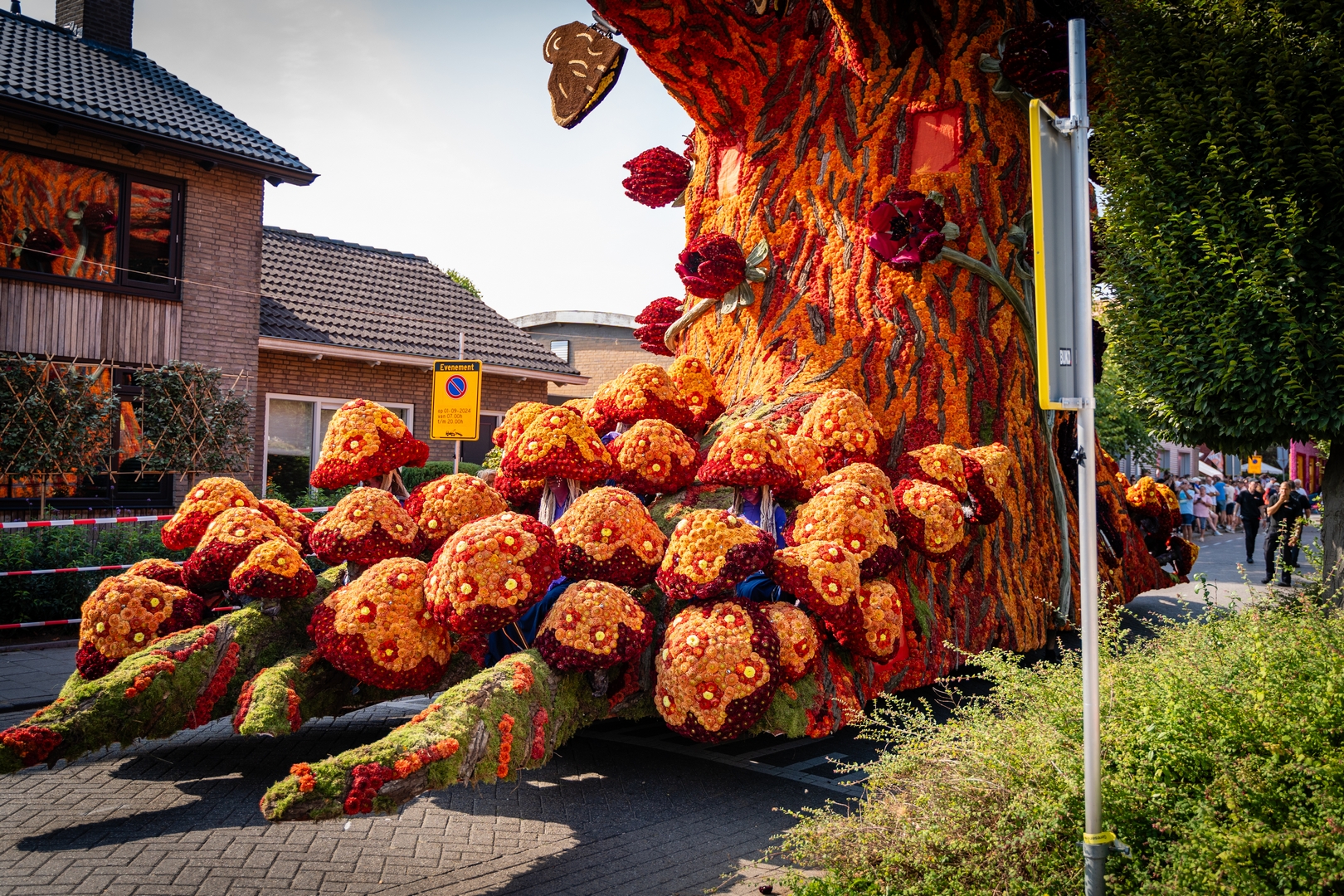 De Natuur Ontwaakt, Foto Eefje fotografie