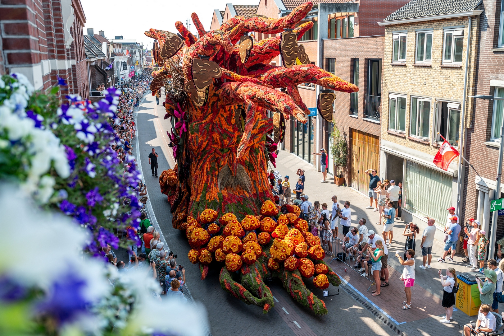 De Natuur Ontwaakt, Foto José van Trijp fotografie