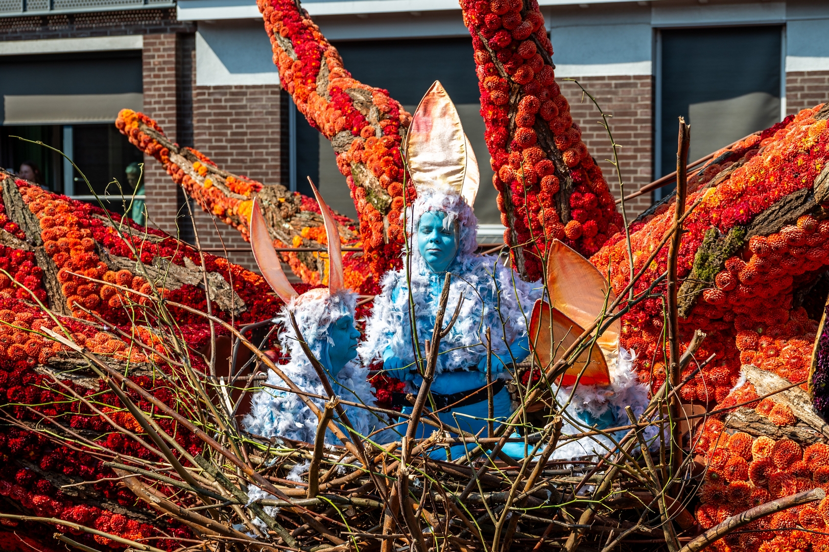 De Natuur Ontwaakt, Foto José van Trijp fotografie
