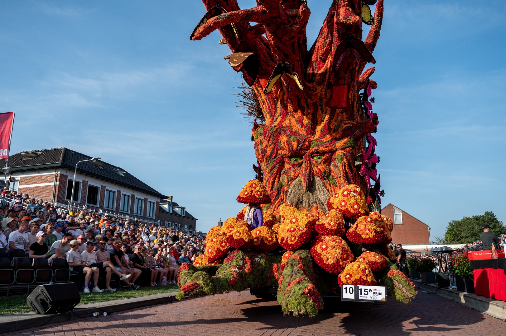 De Natuur Ontwaakt, Foto José van Trijp fotografie