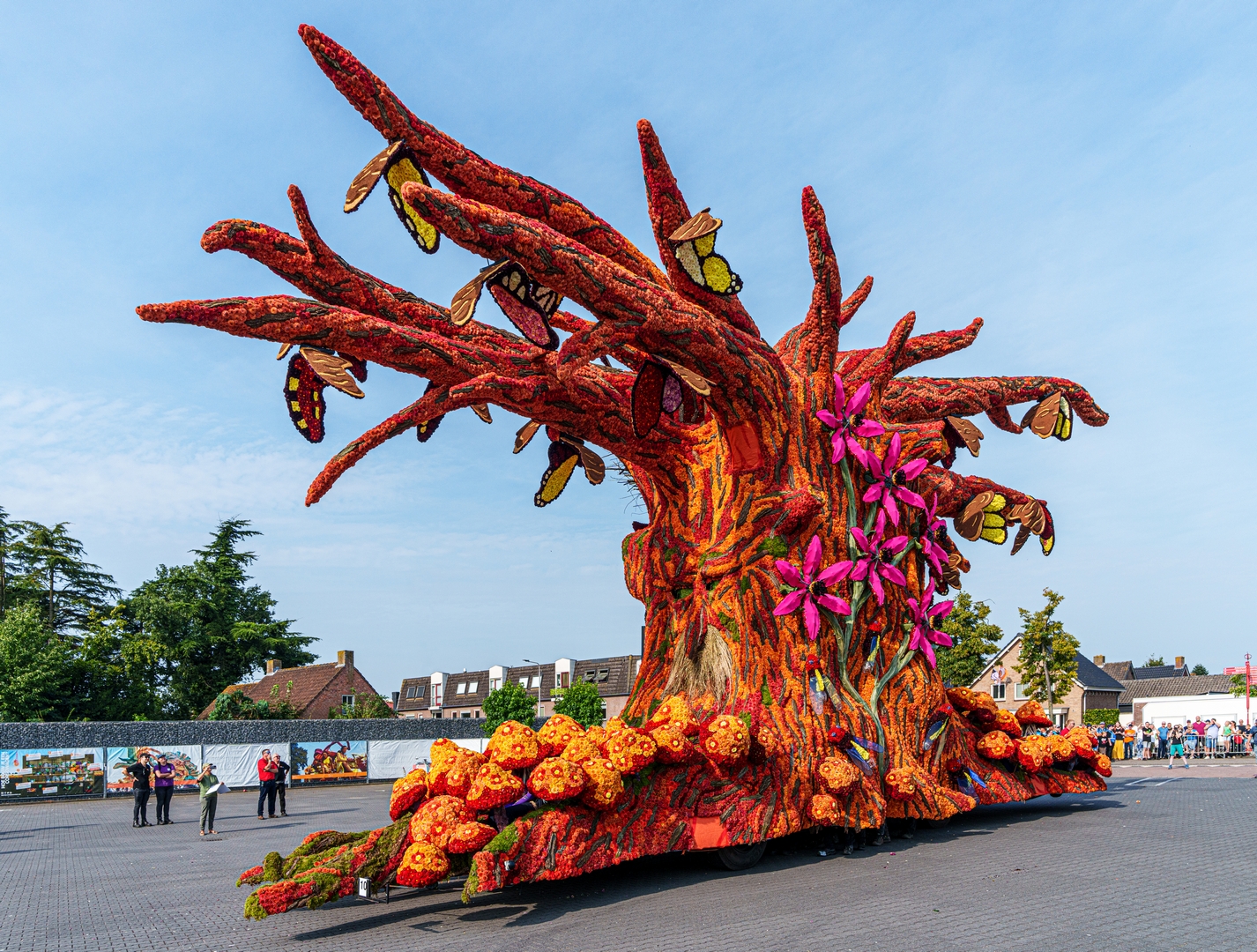 De Natuur Ontwaakt, Foto Paul Ranft