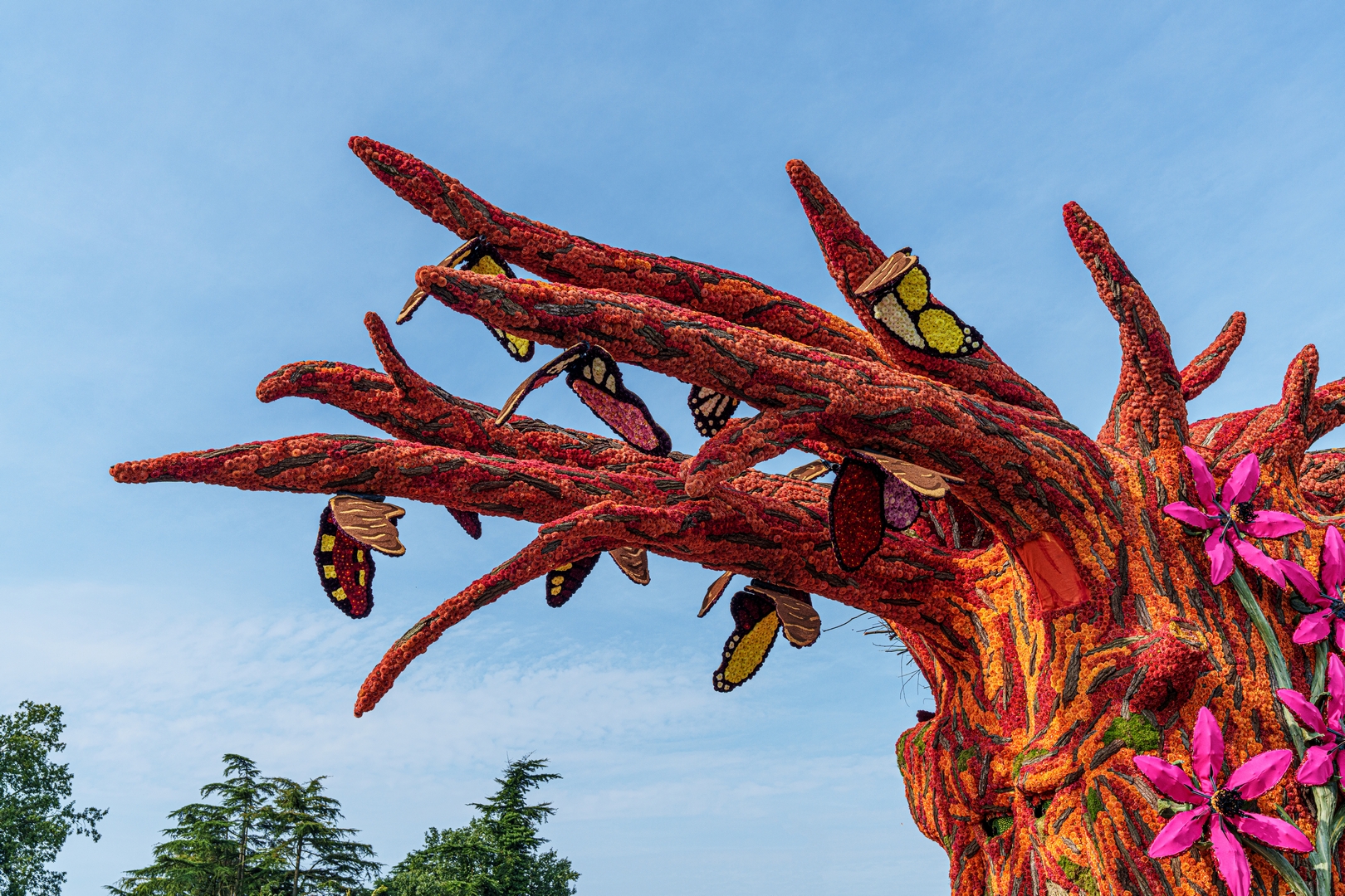 De Natuur Ontwaakt, Foto Paul Ranft
