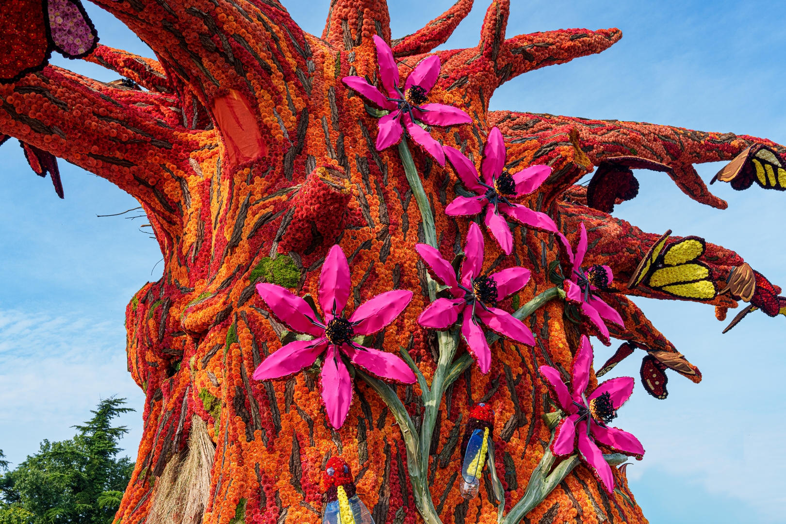 De Natuur Ontwaakt, Foto Paul Ranft