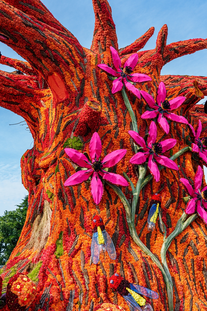 De Natuur Ontwaakt, Foto Paul Ranft