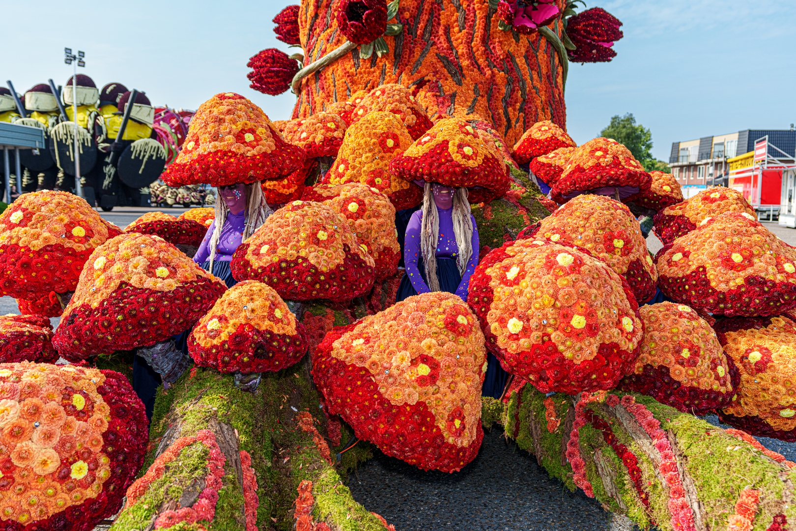 De Natuur Ontwaakt, Foto Paul Ranft